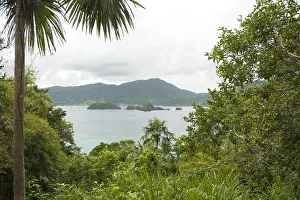 Images Dated 10th December 2007: Tobago