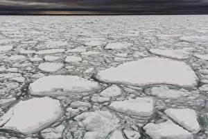 Norway Prints: A view of melting sea ice on the Arctic ocean