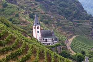 Mosel Prints: Viticulture landscape