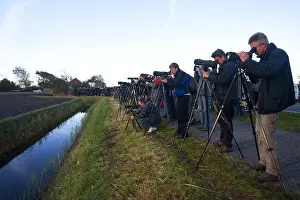 Kaspische Prints: Vogelaars bij de Kaspische Plevier op Texel; Birdwatchers