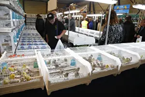 Vogelhandel Prints: Vogelbeurs