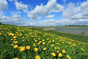 Images Dated 14th April 2014: De Waal bij Pannerden