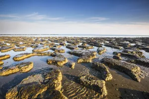 Sandbanks Prints: Waddensea