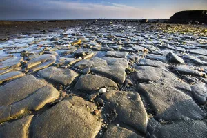 Sandbanks Prints: Waddensea