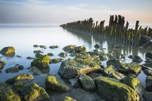Sandbanks Prints: Waddensea