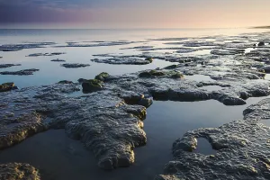Sandbanks Prints: Waddensea