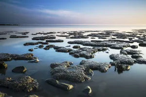 Sandbanks Prints: Waddensea
