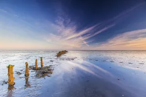 Sandbanks Prints: Waddensea