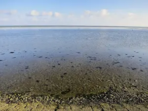 Images Dated 12th September 2014: Waddenzee, Wadden Sea