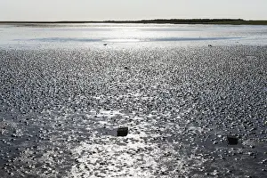 Laag Water Prints: Waddenzee, Wadden Sea