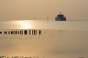 Getijdengebied Prints: Waddenzee, Waddensea