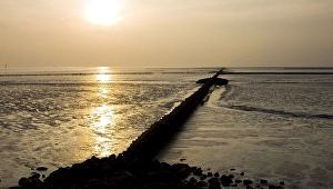 Getijdengebied Prints: Waddenzee, Waddensea