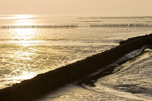 Getijdengebied Prints: Waddenzee, Waddensea