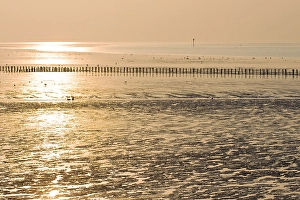 Getijdengebied Prints: Waddenzee, Waddensea