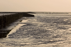 Getijdengebied Prints: Waddenzee, Waddensea