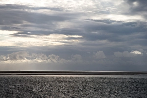 Images Dated 28th September 2008: Waddenzee, Waddensea