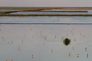 Unesco Prints: Waddenzee, Waddensea