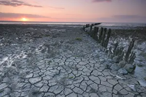 Salt Marsh Prints: Waddenzee, Waddensea