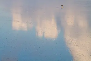 Unesco Prints: Waddenzee, Waddensea