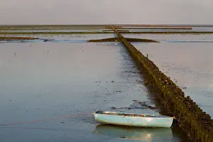 Unesco Prints: Waddenzee, Waddensea