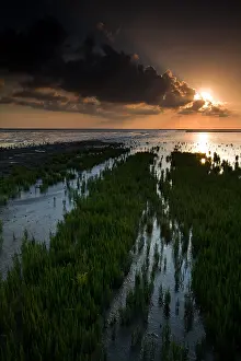 Unesco Prints: Waddenzee, Waddensea