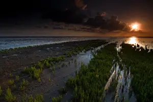 Unesco Prints: Waddenzee, Waddensea