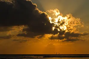Unesco Prints: Waddenzee, Waddensea