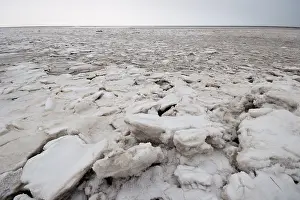 Images Dated 23rd December 2009: Waddenzee in winter
