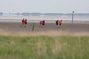 Pedestrians Prints: Wadlopen