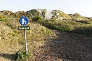 Duintop Prints: Wandelpath, Walking path