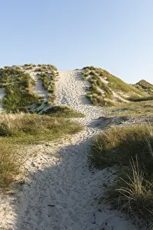 Duintop Prints: Wandelpath, Walking path