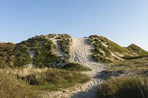 Duintop Prints: Wandelpath, Walking path