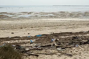 Images Dated 27th November 2023: Waste and waders