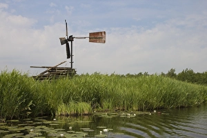 Images Dated 23rd June 2008: De Weerribben