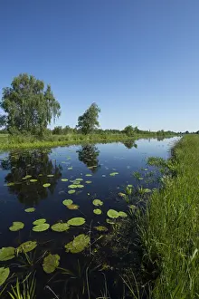 Waterrijk Prints: De Weerribben