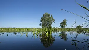 Waterrijk Prints: De Weerribben