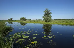 Waterrijk Prints: De Weerribben