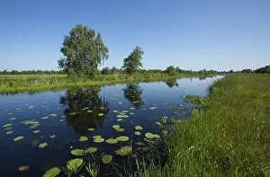 Waterrijk Prints: De Weerribben