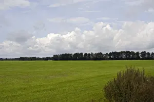 Achterhoek Prints: Weiland, Meadow