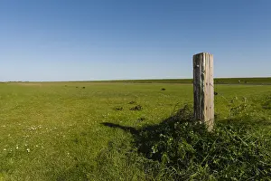 Uitgestrekt Prints: Weilanden, Meadows