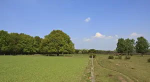 Images Dated 30th April 2009: Westerheide