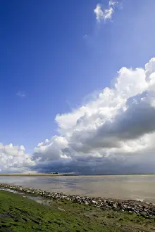 Images Dated 8th August 2008: Westerschelde