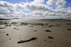 Images Dated 8th August 2008: Westerschelde