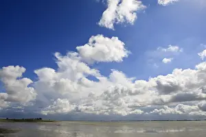 Images Dated 8th August 2008: Westerschelde
