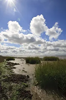 Images Dated 8th August 2008: Westerschelde