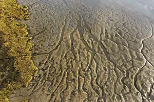 Wetlands Prints: Westerschelde, low tide
