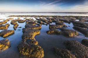 Sandbanks Prints: Wierumerwad, Waddenzee