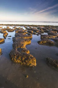 Sandbanks Prints: Wierumerwad, Waddenzee