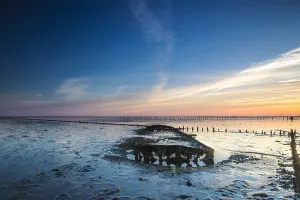 Salt Marsh Prints: Wierumerwad, Waddenzee