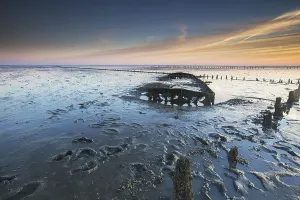 Salt Marsh Prints: Wierumerwad, Waddenzee
